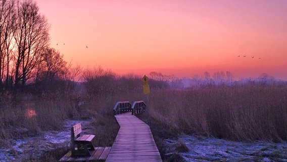 Ein rosa-orangener Sonnenaufgang beim Brenner Moor in der Nähe von Bad Oldesloe. © Holger Totzek Foto: Holger Totzek