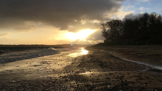 Der Schilkseer Strand bei Sonnenaufgang. © Michaela Kruse-Alpers Foto: Michaela Kruse-Alpers