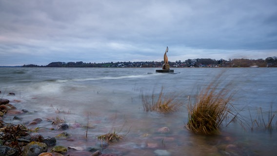 Der Kranich als Seezeichen an der Schlei wurde durch den drückenden Ostwind am Fuße von den Wellen überflutet. © Christiane Heggemann Foto: Christiane Heggemann