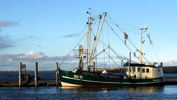 Ein Fischkutter im Hafen. © Cordula Sönnichsen Foto: Cordula Sönnichsen