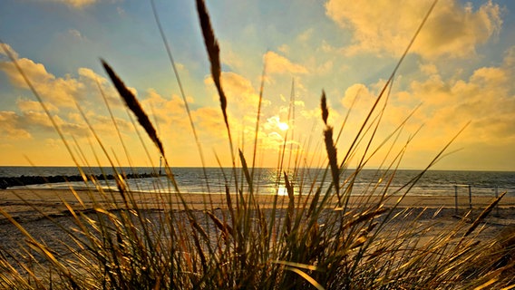 Sonnenaufgang an der Ostsee in Damp. © Nicole B. Foto: Nicole B.