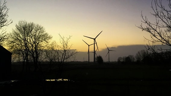 Windräder auf den Feldern bei Sonnenaufgang. © Christine Schladetsch Foto: Christine Schladetsch