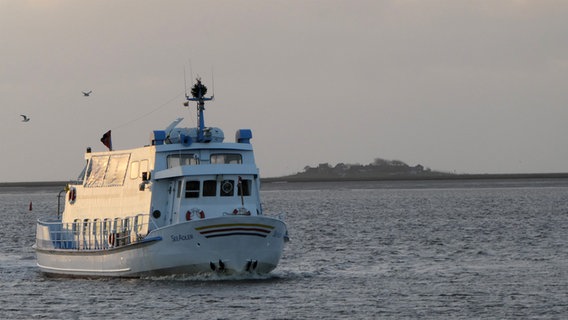 Ein Ausflugsschiff in der Schlüttsieler Abendsonne. © Cordula Sönnichsen Foto: Cordula Sönnichsen