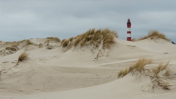 Der Amrumer Leuchtturm umgeben von Dünen. © Friedrich Neujahr Foto: Friedrich Neujahr