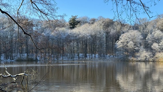 Eine in leichten Schnee und Eis gehüllte Winterlandschaft am Bordesholmer See. © Dr. Klaus Nielandt Foto: Dr. Klaus Nielandt