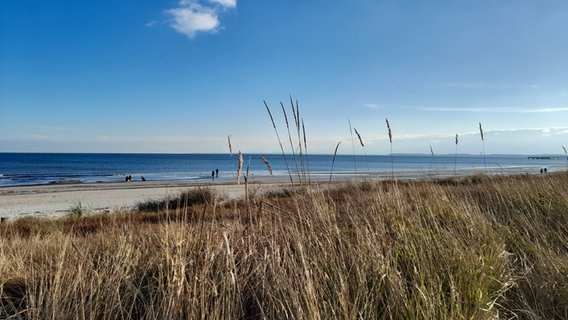 Wintersonne an der Ostsee bei Scharbeutz. © Martina Dzeik Foto: Martina Dzeik