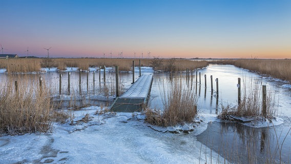 Die winterliche, flache Landschaft am Bottschlotter See bei Sonnenaufgang. © Peter Kuhr Foto: Peter Kuhr