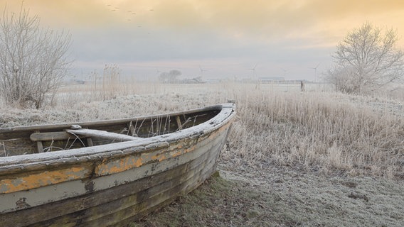 Ein in Raureif gehülltes Boot steht auf einem Feld. Im Hintergrund sind Vögel und Windmühlen zu sehen. © Peter Kuhr Foto: Peter Kuhr