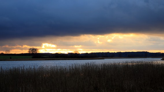 Mystische Stimmung am Sehlendorfer Binnensee im Kreis Plön © Franziska Kolm Foto: Franziska Kolm