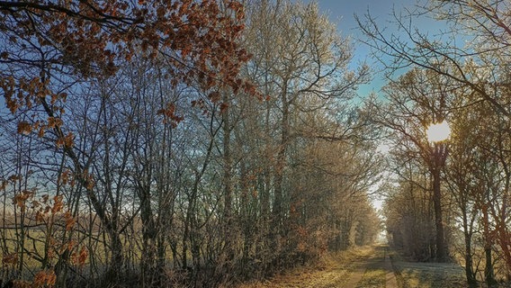 Blauer Himmel und Sonnenschein am Nordostseekanal. © Phil Lopatta Foto: Phil Lopatta