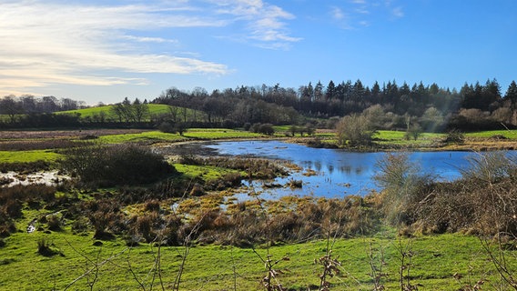 Die Landschaft im Naturerlebnisraum Beckmissen in Schönwalde am Bungsberg. © Beate Rettig Foto: Beate Rettig