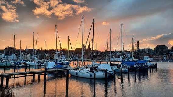 Boote am Flensburger Hafen im Sonnenuntergang. © Dorte Köpke Foto: Dorte Köpke