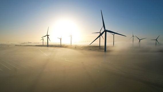 In Bosbüll ragen die Windräder aus dem Nebel hervor. © Helma Johannsen Foto: Helma Johannsen