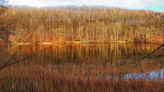 Sonniger Blick über den Ukleisee bei Eutin. © Hans-Otto Klies Foto: Hans-Otto Klies