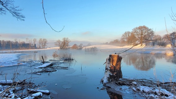 Eisiger Nebel über der Trave in Nütschau. © Holger Totzek Foto: Holger Totzek