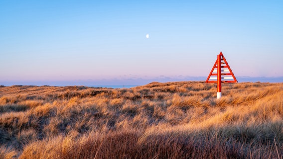 Ein Seezeichen steht bei Sonnenaufgang in den Dünen von Sylt. © Karin Bräunert Foto: Karin Bräunert