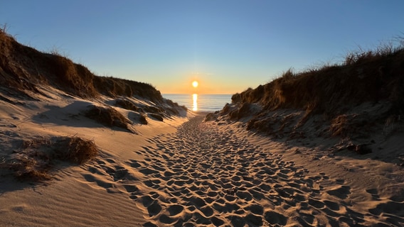 Die Sonne erstrahlt zwischen den Rantumer Dünen auf Sylt. © Ursula Andresen Foto: Ursula Andresen