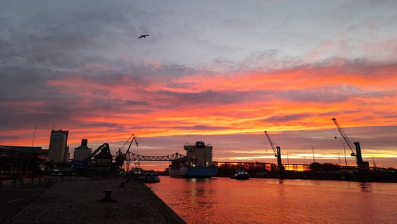 Der Rendsburger Kreishafen bei Sonnenuntergang. © Marita Volkmann Foto: Marita Volkmann