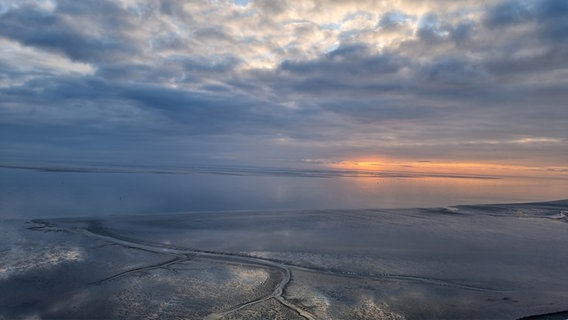 Das Wattenmeer vor Büsum von oben. © Eike Hansen Foto: Eike Hansen