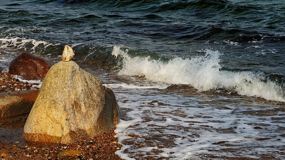 Wellen schlagen an der Küste von Fehmarn auf. © Hans-Otto Klies Foto: Hans-Otto Klies