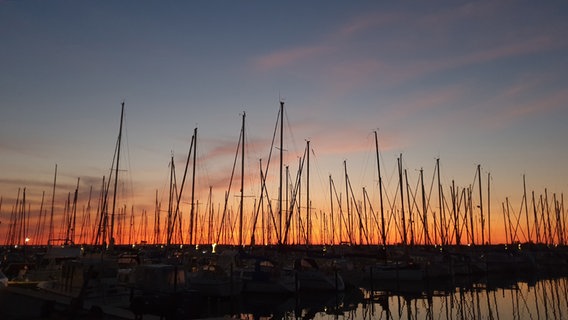 Der Hafen "Marina Wendtorf" im Sonnenuntergang. © Andreas Mohr Foto: Andreas Mohr