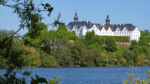 Blick auf den großen Plöner See und das Plöner Schloss in Schleswig-Holstein. © Picture Alliance Foto: Katrin May