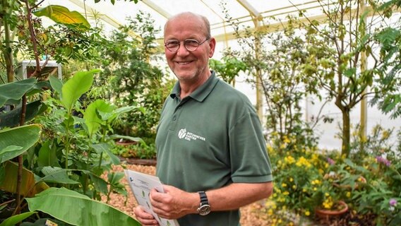 Schmetterlinge Im Botanischen Garten Kiel Ndr De Nachrichten