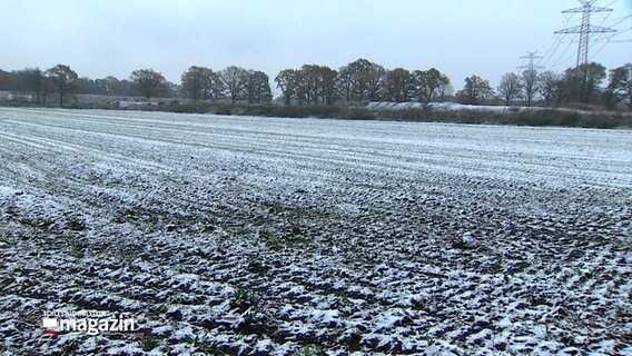 Ein schneebedeckter Acker. © NDR 