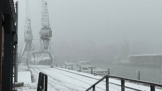 Die Lübecker Wallhalbinsel bei Schnee. © NDR Foto: Mechthild Mäsker