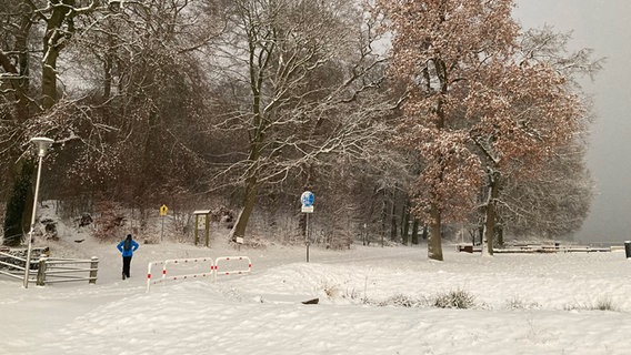 Ein Fußgänger geht durch die verschneite Landschaft © dpa Foto: Birgitta von Gyldenfeld