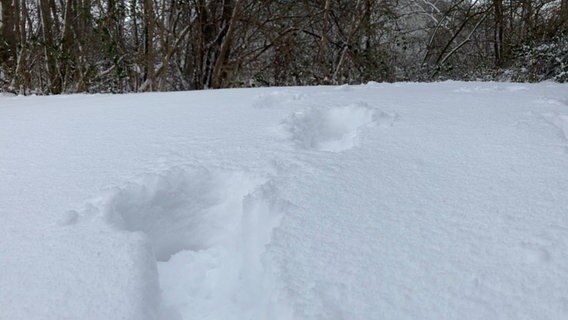 Fußspuren sind im Schnee zu erkennen © NDR Foto: Simone Mischke