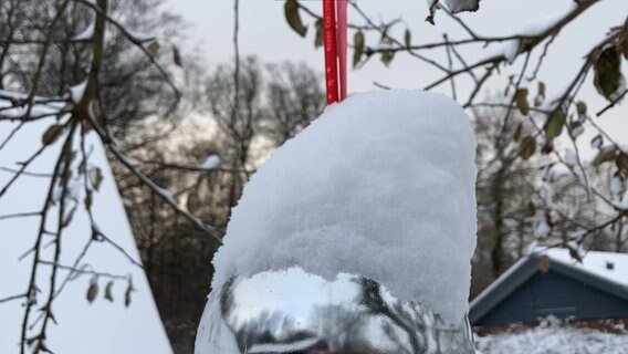 Schnee türmt sich auf Baumbehang © NDR Foto: Simone Mischke