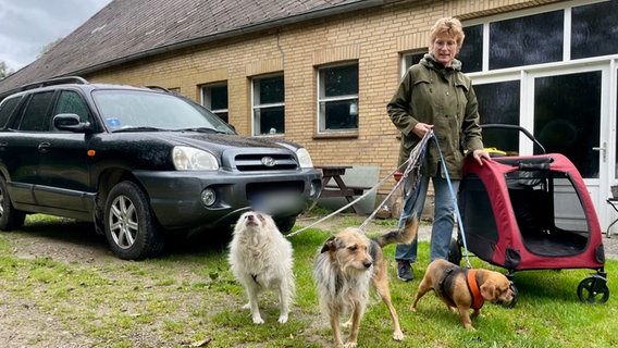 Eine Frau geht mit einigen Hunden spazieren Schutzhof in Schlichting. © NDR Foto: Sophie Apelt