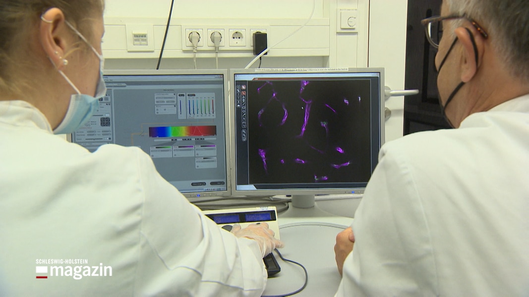 Forscher Aus Lübeck Erzielen Erfolg Bei Long Covid | NDR.de ...