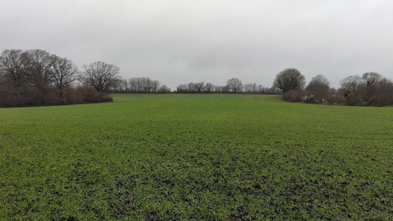 Die Fläche in Selent, auf der AWB Plön seinen neuen Standort ansiedeln will. © NDR Foto: Ole Wrobel