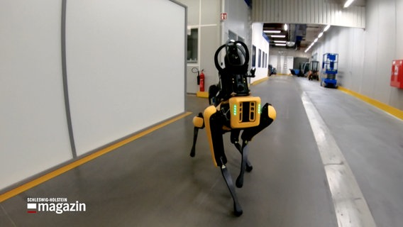 Ein Roboter auf vier Beinen, ähnlich einem Hund, läuft durch einen Gang © NDR Foto: NDR Screenshot