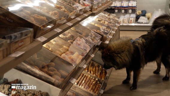 Ein Hund schnüffelt an einem Verkaufstresen für Hundeprodukte © NDR Foto: NDR Screenshot