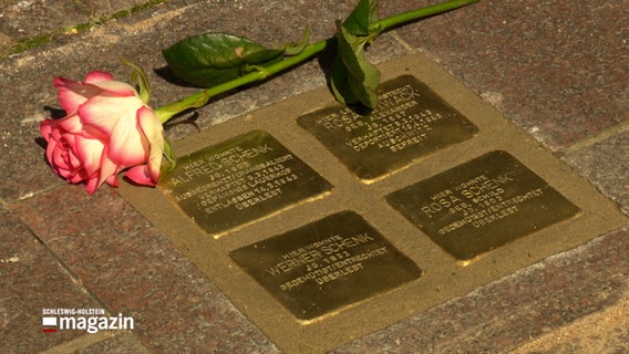 Vier Stolpersteine auf dem Boden, daneben liegt eine Rose © NDR Foto: NDR Screenshot