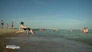 Eine Frau sitzt mit einem Liegestuhl an einem Strand im Wasser © NDR Foto: NDR Screenshot