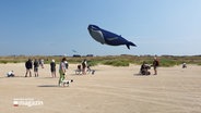 Ein Drachen in Form eines Blauwals fliegt am Himmel © NDR Foto: NDR Screenshot