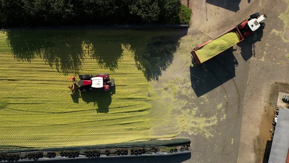 EIne Luftbildaufnahme von zwei Traktoren mit Anhängern beim Einbringen der Ernste © NDR Foto: NDR Screenshot