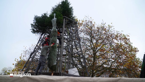 Mehrere Personen montieren Weihnachtsbäume an einem Stahlgerüst © NDR Foto: NDR Screenshot