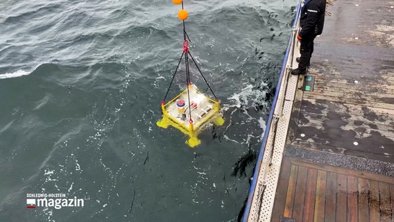 Ein Kran auf einem Schiff lässt ein Messinstrument ins Wasser hinab © NDR Foto: NDR Screenshot