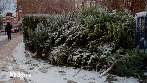 Einige aussortierte Weihnachtsbäume liegen am Wegesrand © NDR Foto: NDR Screenshot