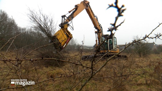 Ein Bagger zieht Gestrüpp aus der Erde © NDR Foto: NDR Screenshot