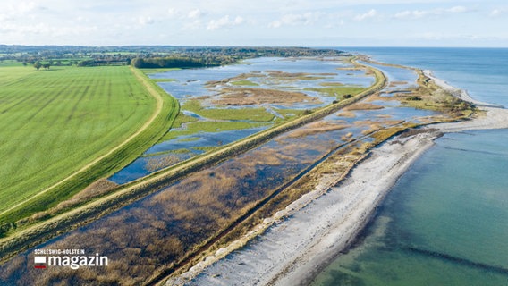 Eine Luftbildaufnahme eines Deiches © NDR Foto: NDR Screenshot