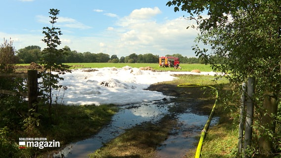 Nach einem Strohballenbrand liegt Löschschaum auf einer Wiese. © NDR 