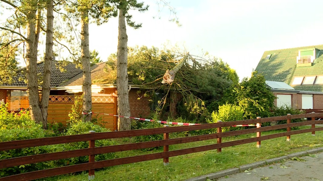Mühbrook: Nach einem Sturm ist eine große Kiefer auf ein Einfamilienhaus gefallen.