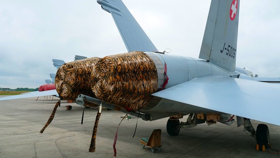 Die Abdeckung über den Triebwerken eines F-18 Kampfjets hat Tigerfelloptik. © NDR Foto: Peer-Axel Kroeske