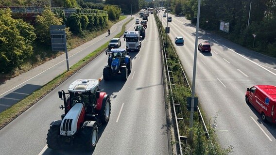 Ein Schlange an Treckern auf der B76 höhe Kiel © NDR Foto: Sven Brosda